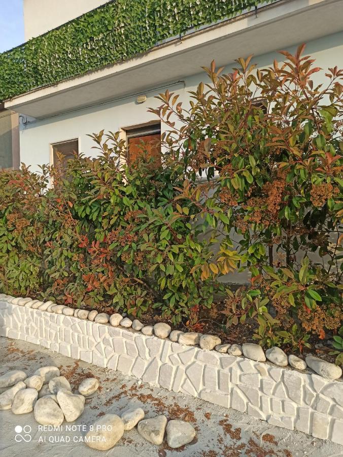 坎波马里诺Rosa Dei Venti House别墅 外观 照片